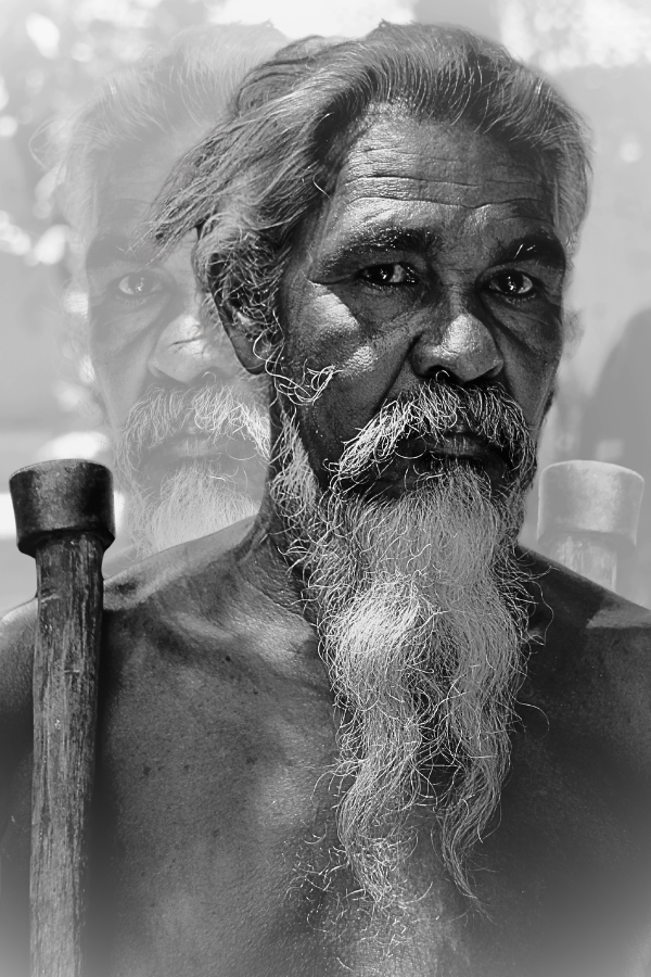 Australian Elder