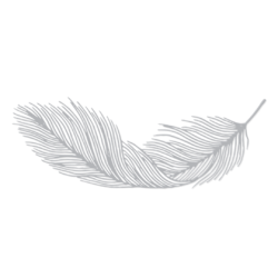 Falling Feather