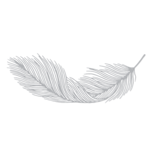 Falling Feather